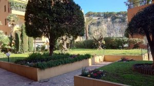 vue bis moyen 1676985604