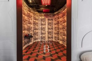 barnes-real-estate-paris-houses-for-sale