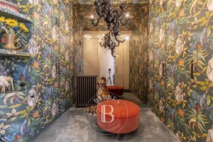 barnes-real-estate-paris-houses-for-sale