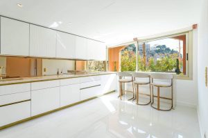 barnes-real-estate-monaco-houses-for-sale