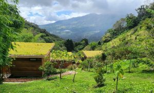 panama-los-naranjos-real-estate-houses-for-sale