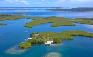 green-house-for-sale-panama