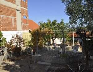 IMG 20241021 WA00051