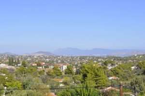 IMG 20241021 WA00061