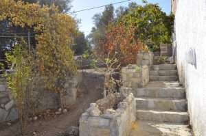 IMG 20241021 WA00122